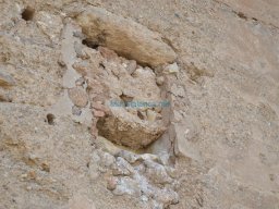 Castillo de Alhama 2008